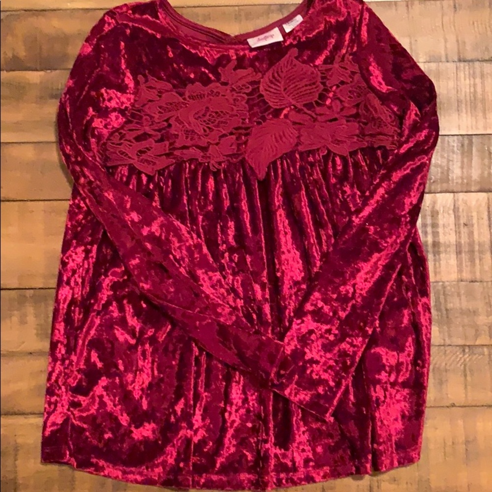 Daytrip velour top